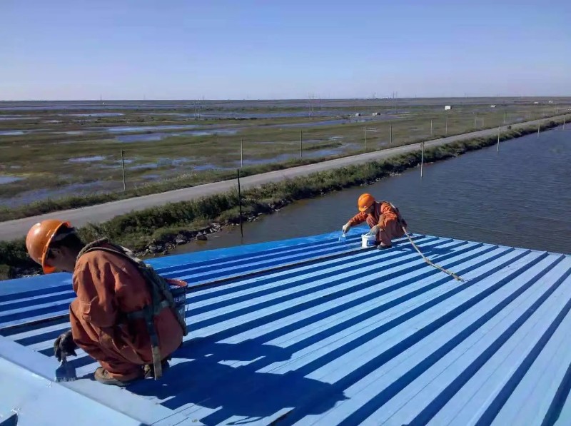 湖滨彩钢瓦屋面防腐翻新